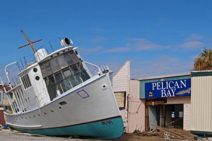 Epic Clash Unfolds: Pelicans vs. Grizzlies Final Score from January 23, 2026