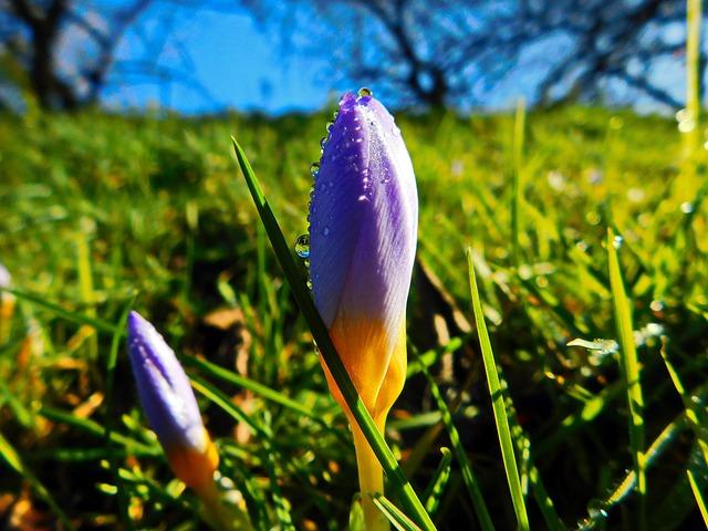 Bailey and Sensabaugh Shine Despite Utah Jazz Falling to Warriors