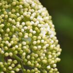Elder Rasband Shares Unforgettable Moment with NBA Star at Temple Square