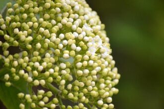 Elder Rasband Shares Unforgettable Moment with NBA Star at Temple Square