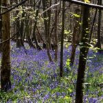 Jazz Lock In Blake Hinson with Thrilling Two-Way Contract!