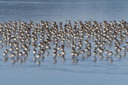Are the Washington Wizards Intentionally Tanking Their Season?