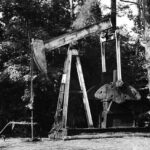 Derrick White’s Flawless Comeback After Snubbing the All-Star Team