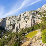 Will Nikola Jokic Take the Court Tonight Against the Memphis Grizzlies? Latest Injury Update on Denver’s Star