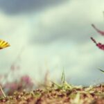 Victor Wembanyama Sparks Unstoppable Energy at the 2026 NBA All-Star Game