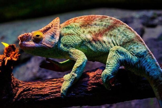 Chandler Parsons Delivers a Strong Midseason Performance for the Rockets