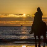 Legendary Denver Nuggets Coach and Former UNC Star Doug Moe Dies at 87