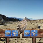 Sixers’ Slide Deepens with Third Consecutive Loss in 117-107 Defeat to Hawks