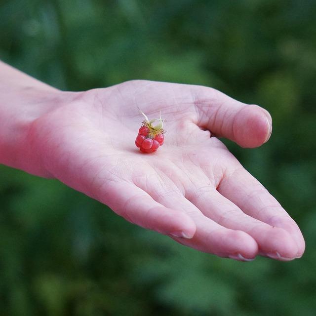 Stan Van Gundy Raises Alarms About Detroit Pistons’ Offense as 2026 Playoffs Approach