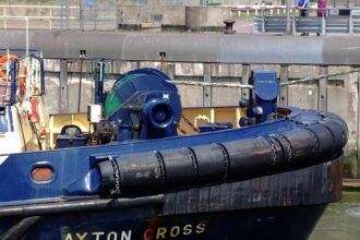 Shaq Claps Back at Deandre Ayton’s Comments About Clint Capela