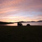 Tobias Harris Shares How J.B. Bickerstaff’s Leadership Ignites the Pistons’ Passion