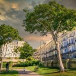 Timberwolves Stun Fans with an Unexpectedly Powerful and United Bench Unit