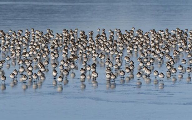 Epic Clash: Washington Wizards vs. Utah Jazz Game Highlights