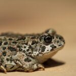 Shane Battier Reveals the Secrets to Winning: “I’ve Lived It and Feel Deeply Passionate About It