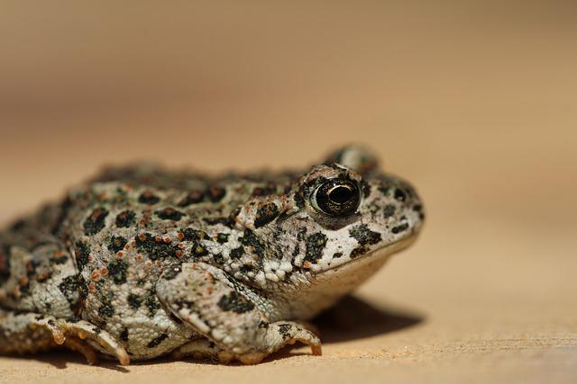 Shane Battier Reveals the Secrets to Winning: “I’ve Lived It and Feel Deeply Passionate About It
