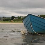 Ausar Thompson Out with Right Ankle Sprain Ahead of Pistons vs. Nets Clash