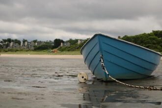 Ausar Thompson Out with Right Ankle Sprain Ahead of Pistons vs. Nets Clash