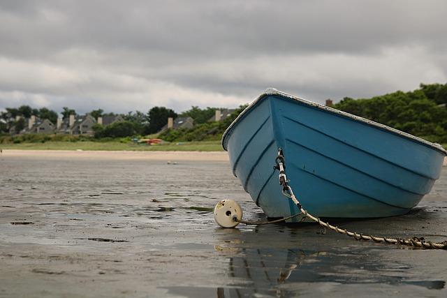Ausar Thompson Out with Right Ankle Sprain Ahead of Pistons vs. Nets Clash