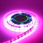 VJ Edgecombe Questionable for Tuesday’s High-Stakes Sixers vs. Grizzlies Clash