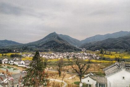 Lu Dort Walks the Line Again, While Nikola Jokic Defends Against Flagrant Foul Claims