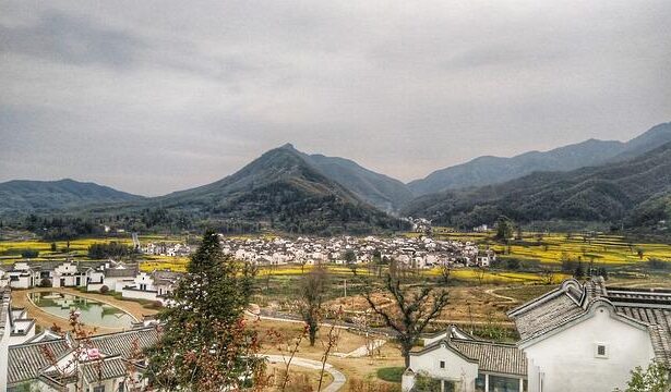 Lu Dort Walks the Line Again, While Nikola Jokic Defends Against Flagrant Foul Claims