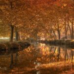 LA Lakers Make Pivotal Move Regarding Bronny James’ Future Following Rookie Struggles