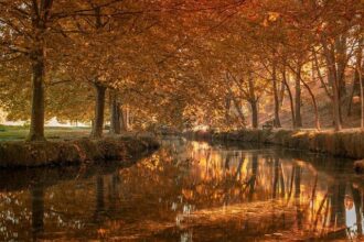 LA Lakers Make Pivotal Move Regarding Bronny James’ Future Following Rookie Struggles