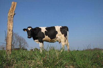 Tyler Herro and Norman Powell Set to Ignite Heat’s Crucial Showdown Against Magic This Saturday