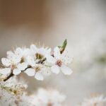 AT&T’s Star-Studded March Madness Return Shines with Knicks, Jayson Tatum, Candace Parker, and More