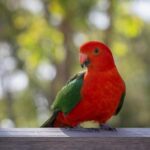 Injury Report Unveils Key Starters Out for Kings vs. 76ers Showdown