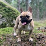 Jaylon Tyson Out for Pelicans Clash: How It Impacts Your Fantasy Basketball Lineup