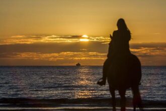 Doug McDermott: The Basketball Sensation Lighting Up the Court