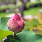 Jalen Johnson Ignites Hawks in Thrilling Victory Over Pistons, Extending Hot Streak