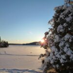 Is Now the Ideal Time to Invest in Tyrese Haliburton Cards?