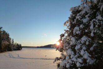 Is Now the Ideal Time to Invest in Tyrese Haliburton Cards?