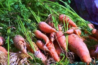 GG Jackson Explains Why Veterans Like Rockets’ Kevin Durant Get the Edge with Officials