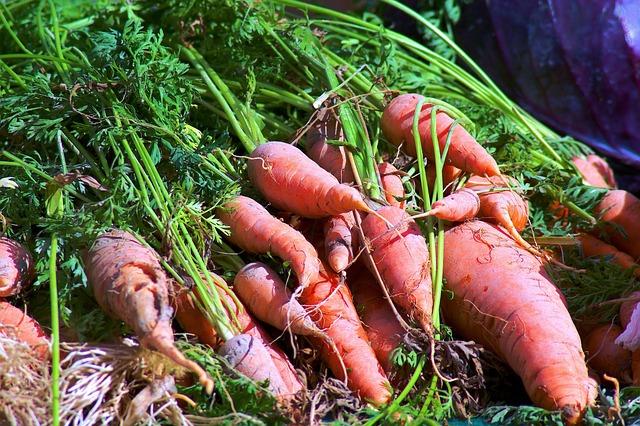 GG Jackson Explains Why Veterans Like Rockets’ Kevin Durant Get the Edge with Officials