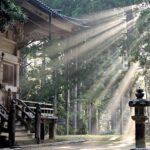 Suns Gear Up for a Thrilling Comeback Clash with the Hornets