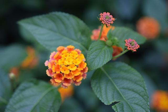 Toumani Camara Smashes Single-Season Offensive Foul Record