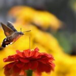 NBA Playoff Race Intensifies as Hawks Secure Strong Hold on No. 5 Seed in the East