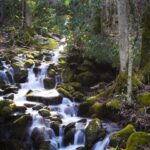 North Carolina Men’s Basketball Excited to Welcome Michael Malone as New Head Coach