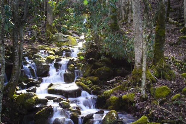 North Carolina Men’s Basketball Excited to Welcome Michael Malone as New Head Coach