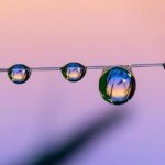 Explore Ja Morant’s Breathtaking .5 Million Dream Home in Memphis