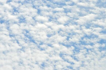 James Borrego Reveals Key Strategies as Pelicans Prepare for Season’s Final Push