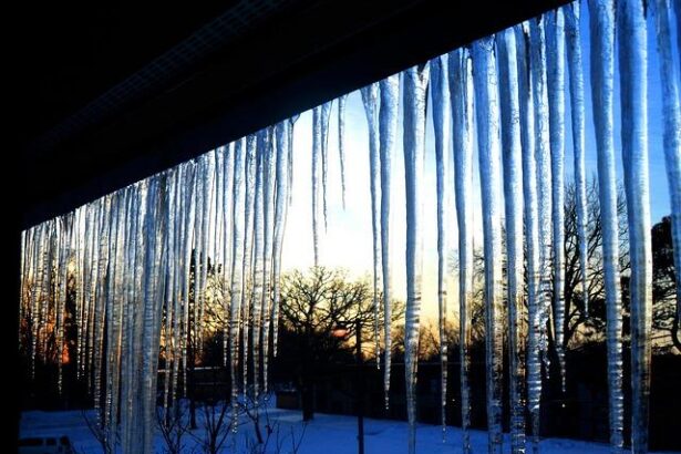 Epic Showdown: Thrilling Highlights from the Minnesota Timberwolves vs. Denver Nuggets Clash