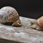 Sanberg Teams Up in High-Stakes NBA Investigation of Clippers