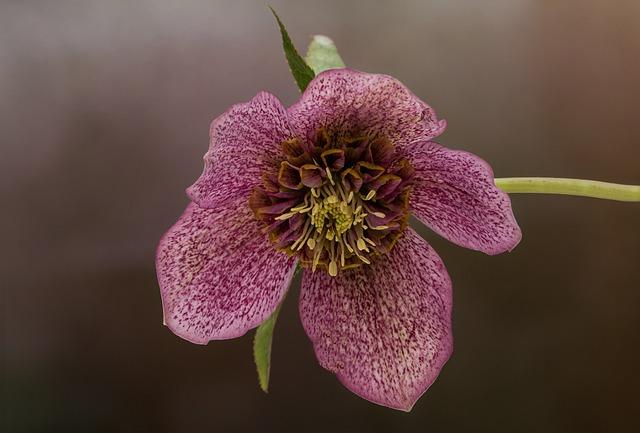 Billy Donovan’s Era Comes to a Close: What’s Next for the Bulls?