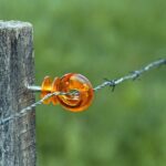 NBA Playoff Bracket 2026: Exciting Updated Matchups and Schedule Following Spurs, Knicks, and 76ers Victories