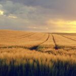 MAGA Sparks Outrage After Misinterpreting Ben Stiller’s Knicks Celebration Post as Comment on Correspondents’ Dinner Shooting